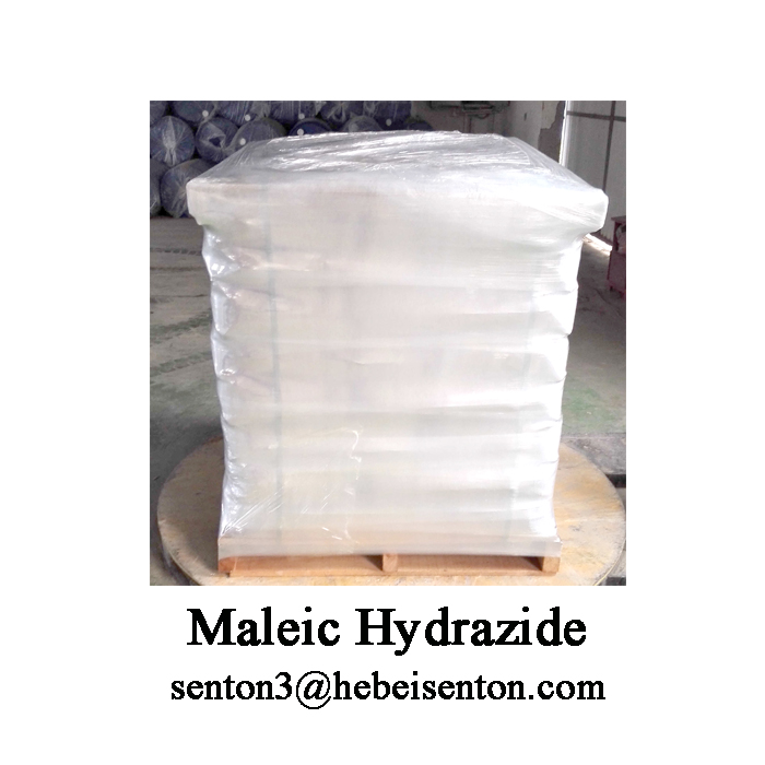 Maleic Hydrazide אבקה לבנה