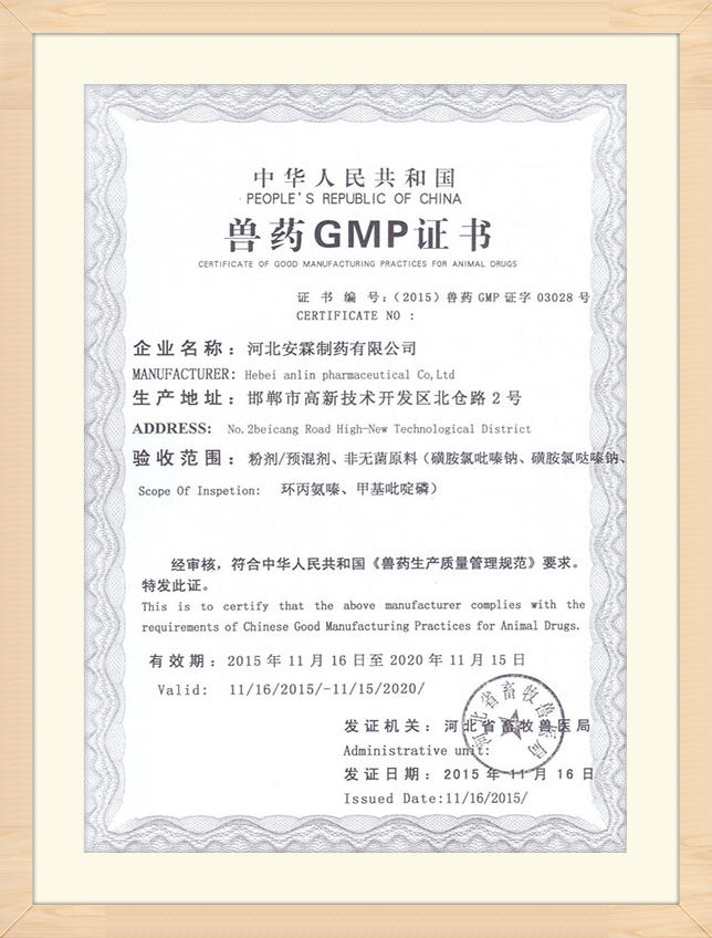 certificat (4)