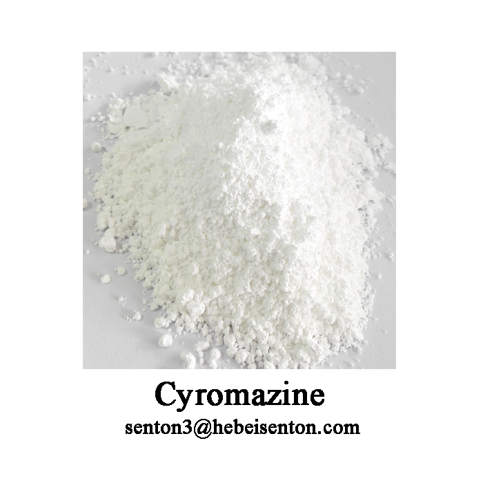 Great Quality Cyromazine