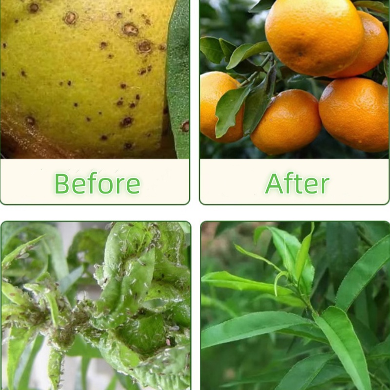 O1CN01D9Z5qk1OjsxegjRaC_!!2218553371742-0-cib