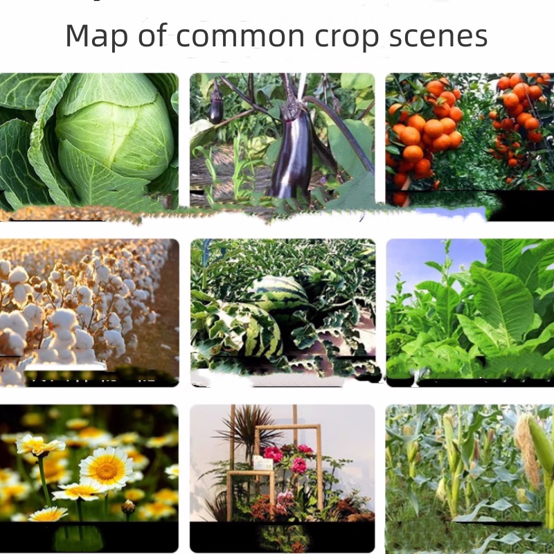 O1CN01ESMnmZ2EnPzrMjHDZ_!!2218171998789.jpg__副本