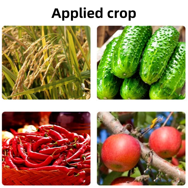 O1CN01LUVZ741UcuP32q44V_!!975992539-0-cib_副本