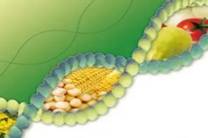 OIP-C (1)