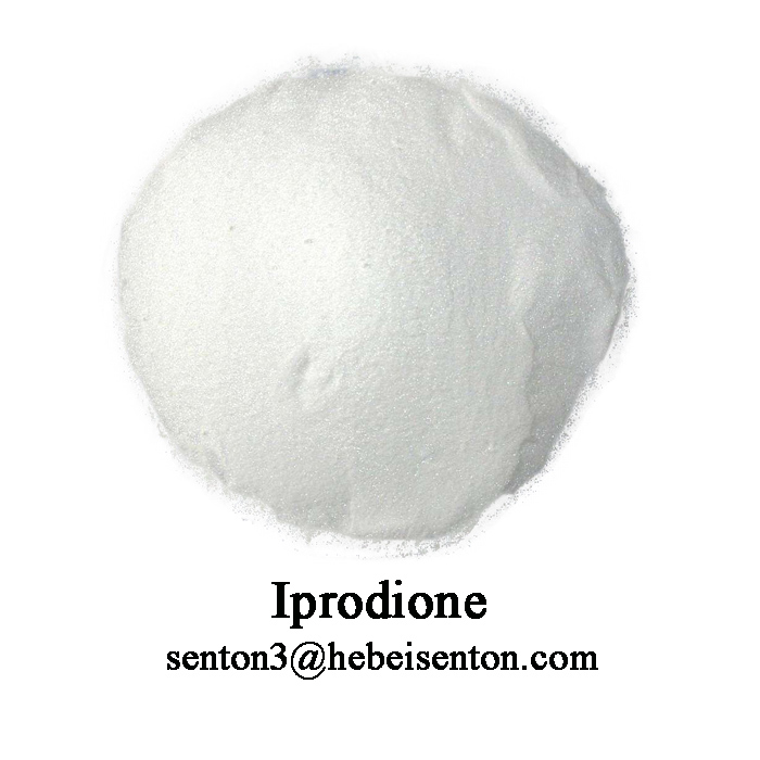 Prevent the Germination of Fungal Iprodione