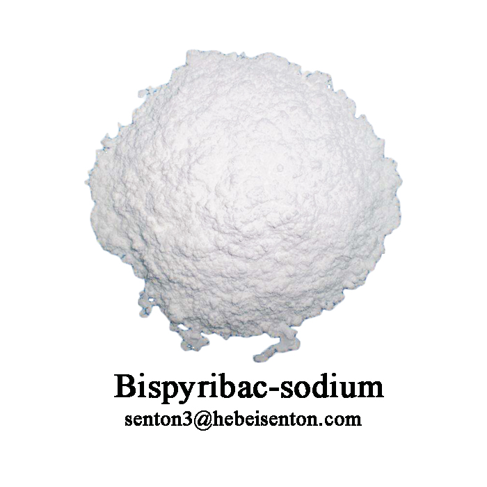 Stunt Growth of Weeds Bispyribac-sodium